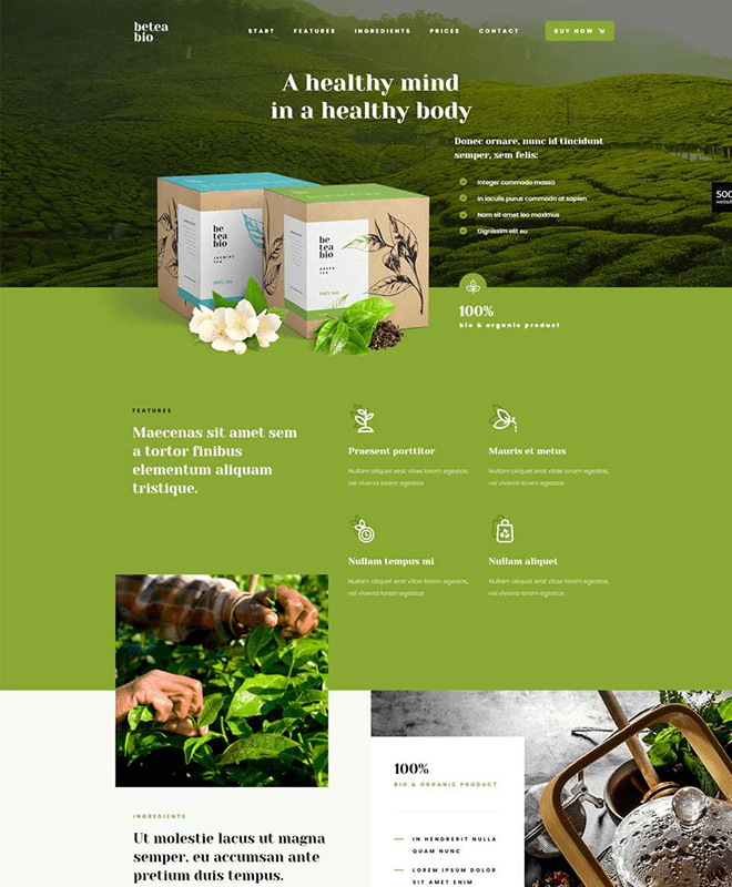 Web Application development